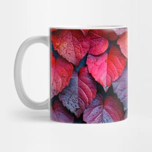 Colorful Autumn Leaves - Landscape Mug